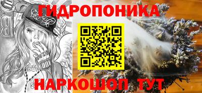 jwh Берёзовский