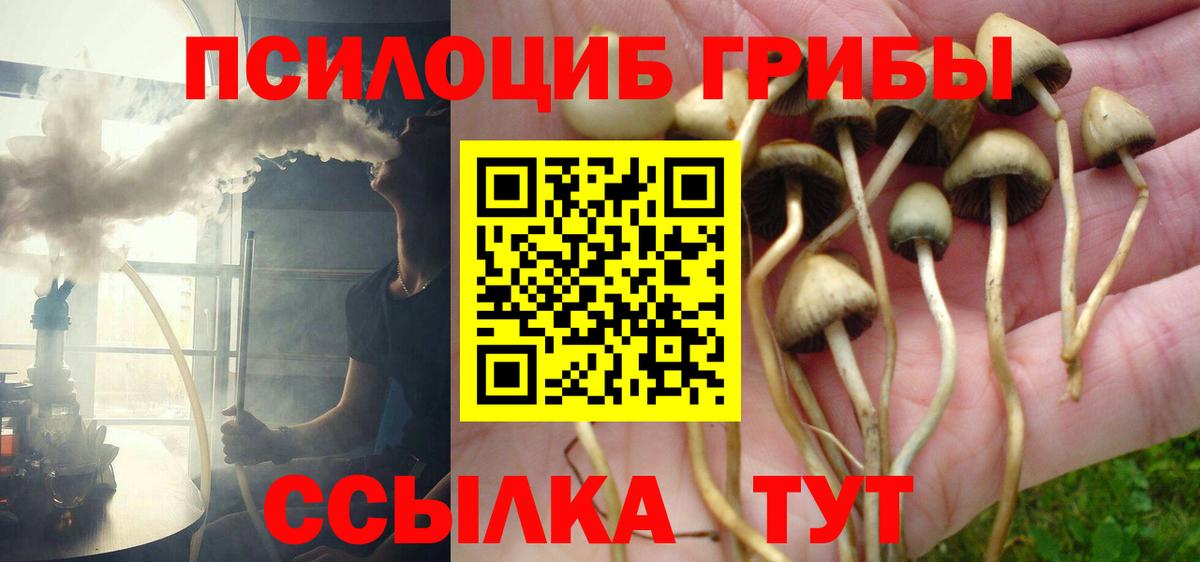 Галлюциногенные грибы ЛСД Апшеронск
